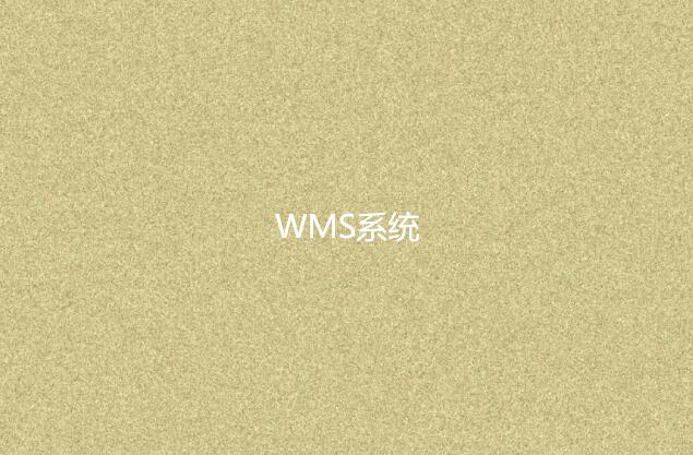 WMS系统适合小型企业吗？